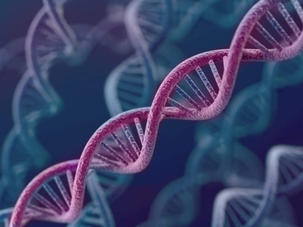 Largest ever DNA sequencing dataset on UK child development studies made available